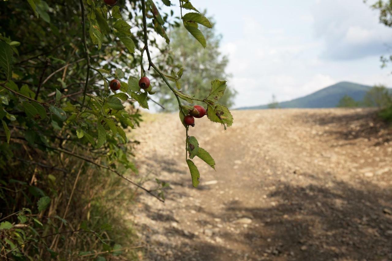 Ostoja Villa Rzyki Eksteriør billede